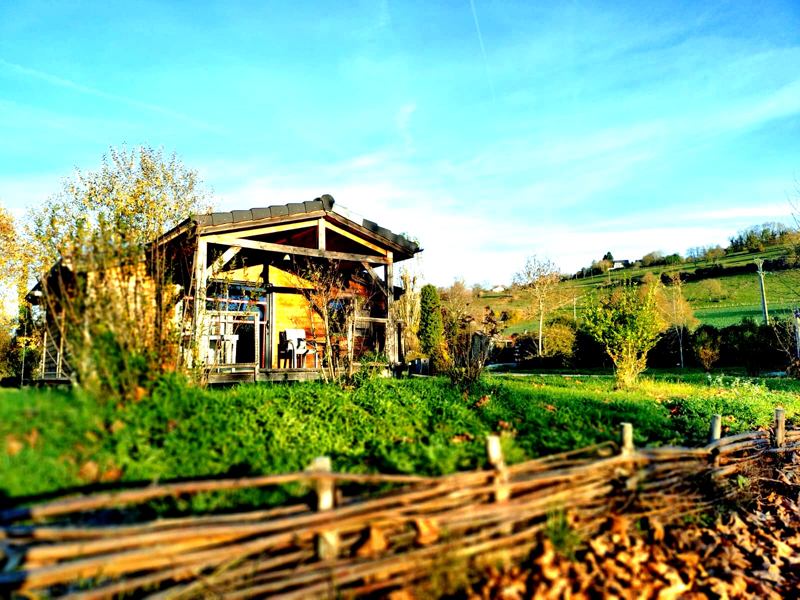 PhotoLibellaAutomne