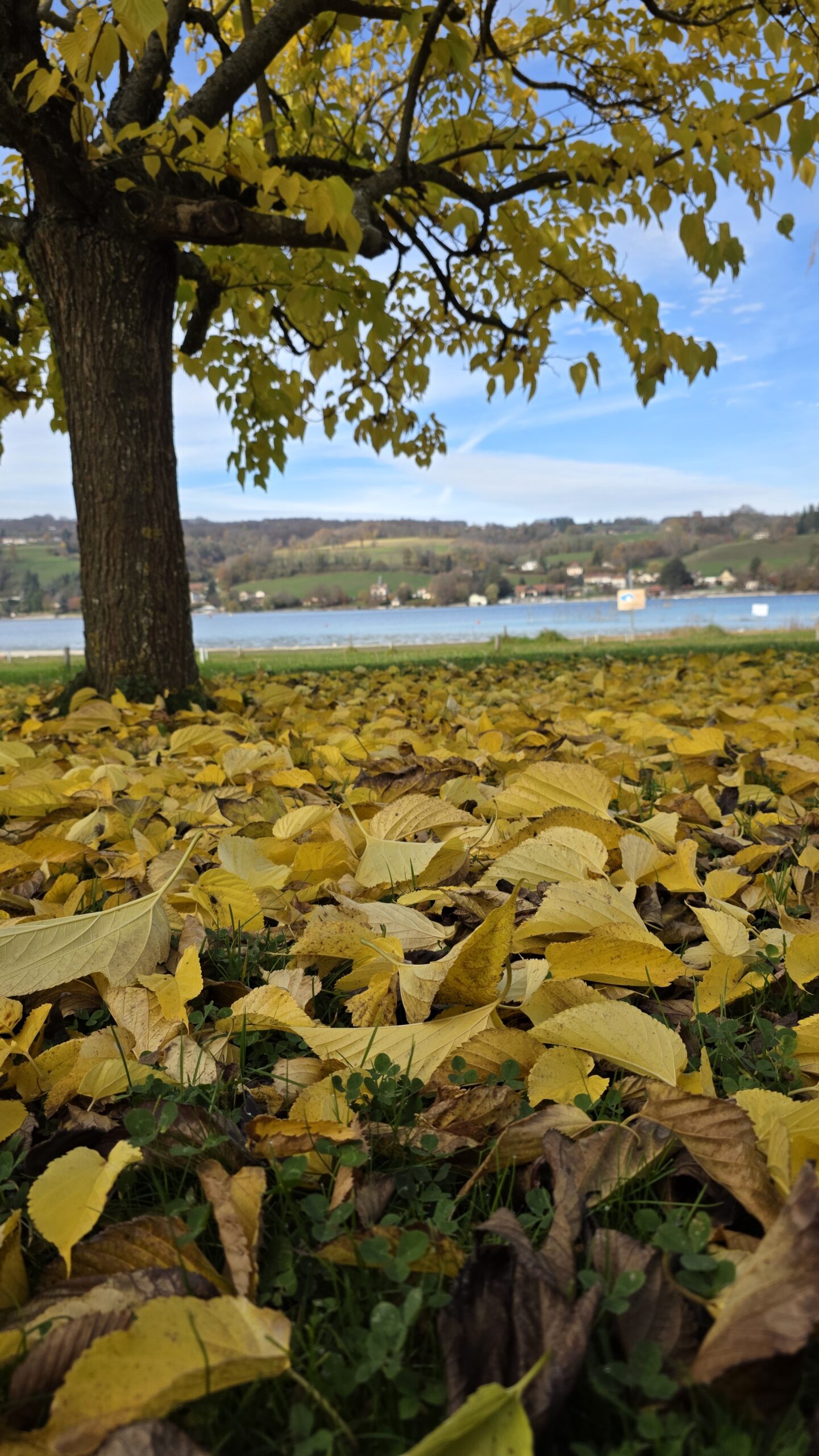 Plage du Lac de Paladru en automne, cadre apaisant pour des vacances séniors au camping Détente et Clapotis, Isère
