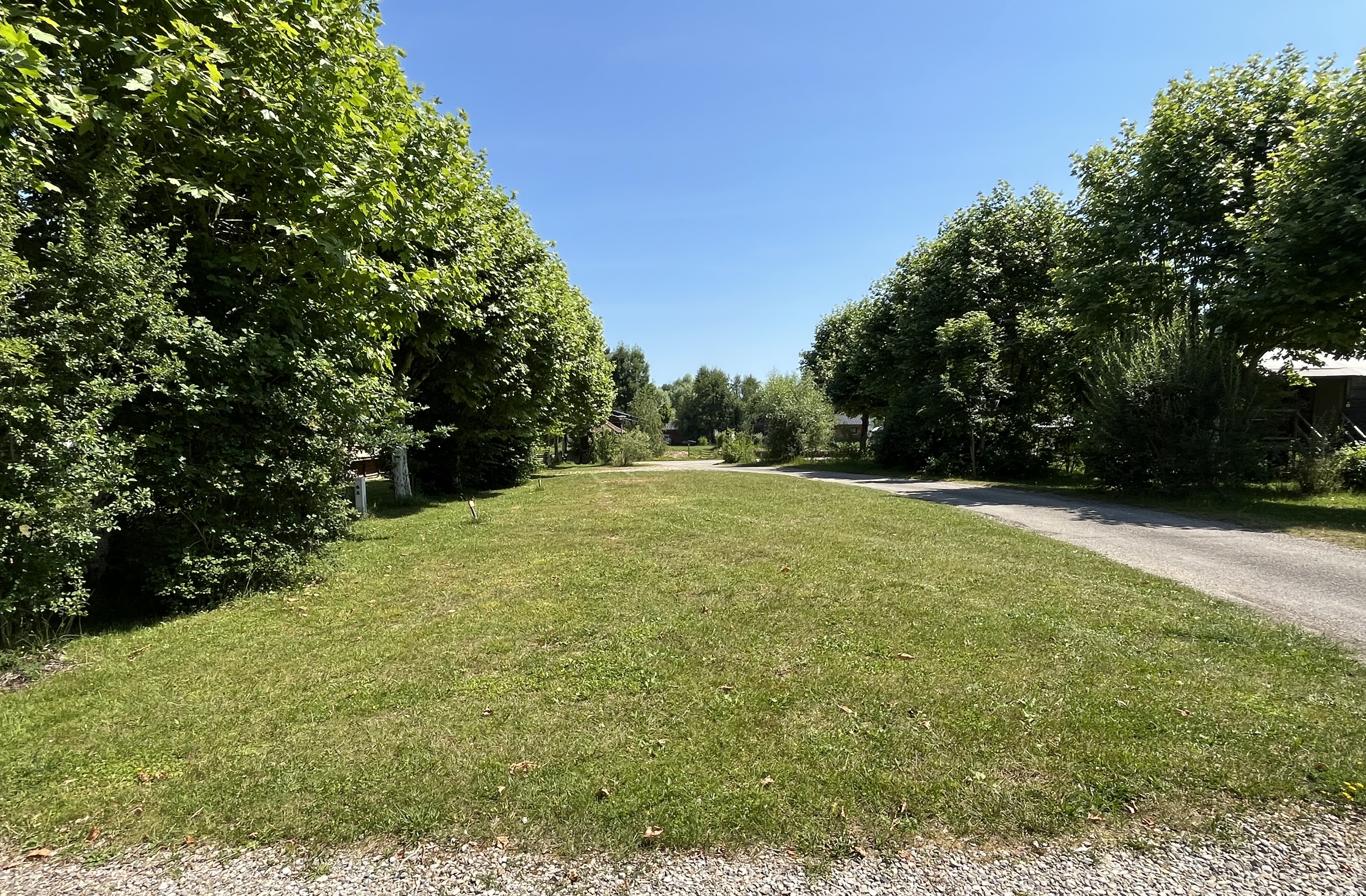Allée arborée du camping familial Détente et Clapotis en Isère