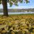 Plage calme du Lac de Paladru en automne — vacances séniors, Isère