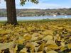 Plage du Lac de Paladru en automne, cadre apaisant pour des vacances séniors au camping Détente et Clapotis, Isère